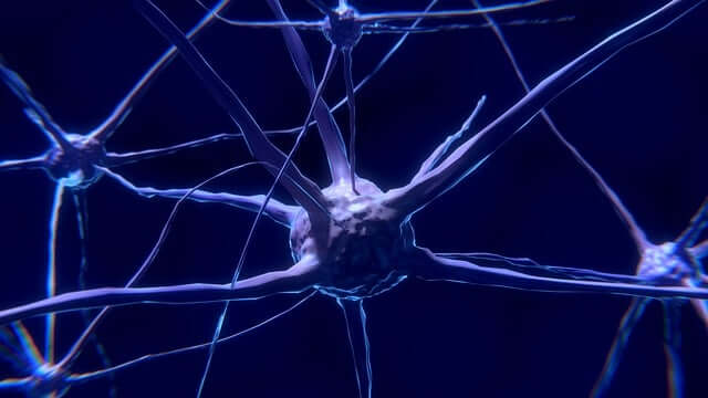 Research News by University of California - Los Angeles Health Sciences on Regenerative neurons